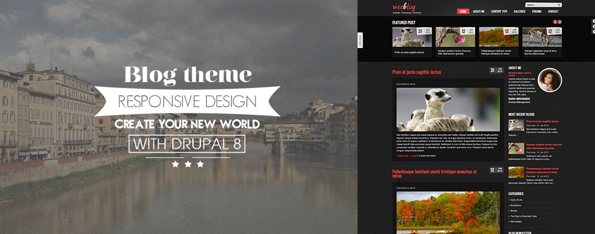 Personal Blog for Drupal 8 Theme