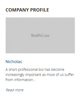 Company Profile display