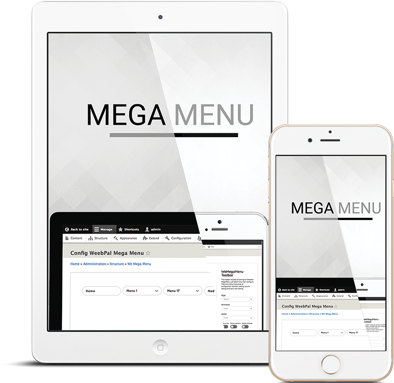 WeMega's solution