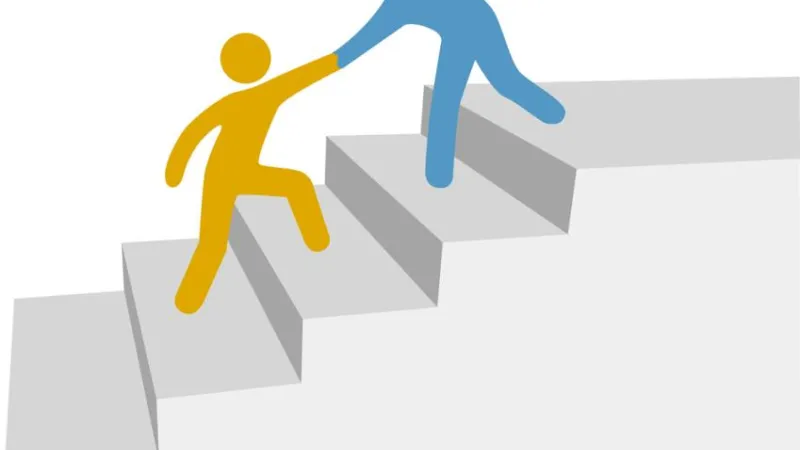 Mapping a Developer's Journey: 20 Career Levels in Web and Application Development