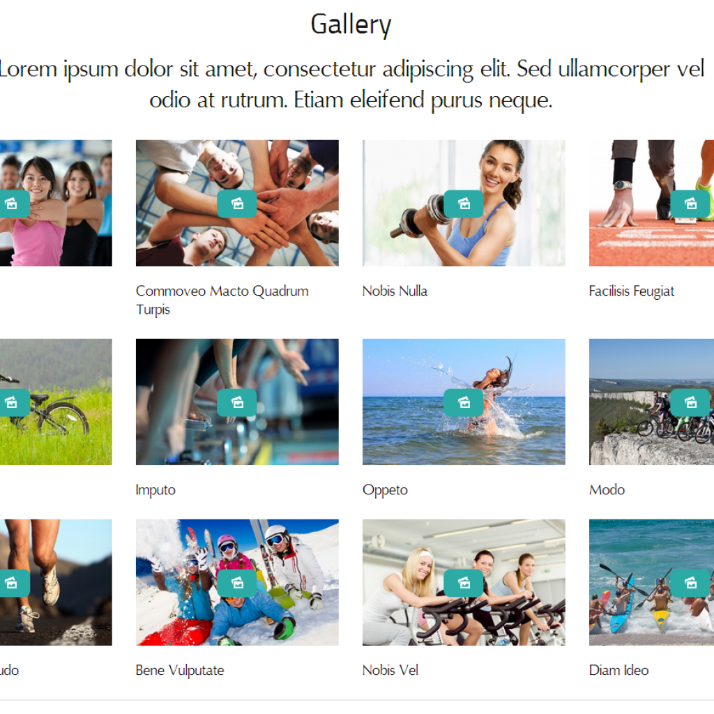 gallery gallery