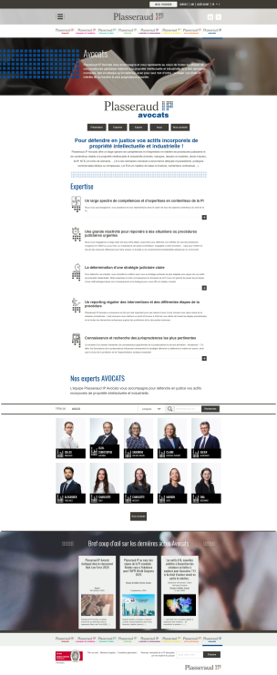 Project Showcase: Comprehensive Intellectual‑Property Services Portal