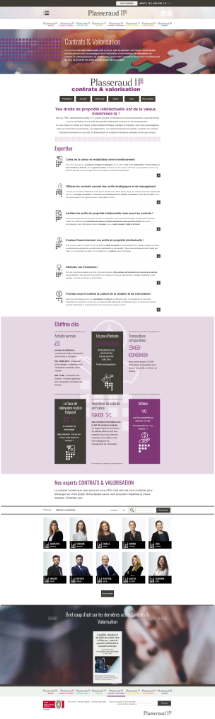 Project Showcase: Comprehensive Intellectual‑Property Services Portal