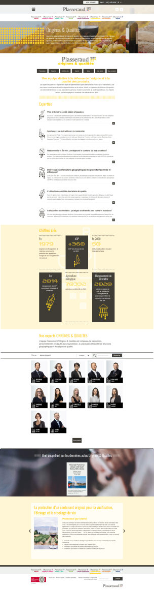 Project Showcase: Comprehensive Intellectual‑Property Services Portal