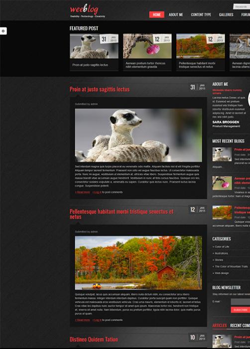 Personal Blog for Drupal 8 Theme