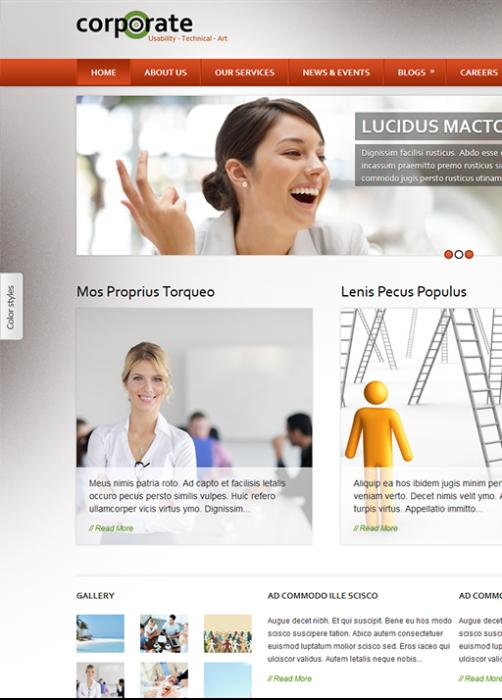 Corporate Site