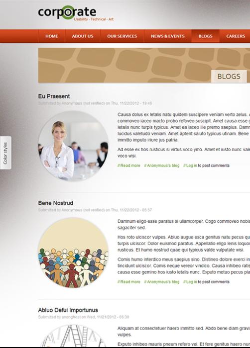 Corporate Site