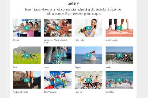 gallery gallery