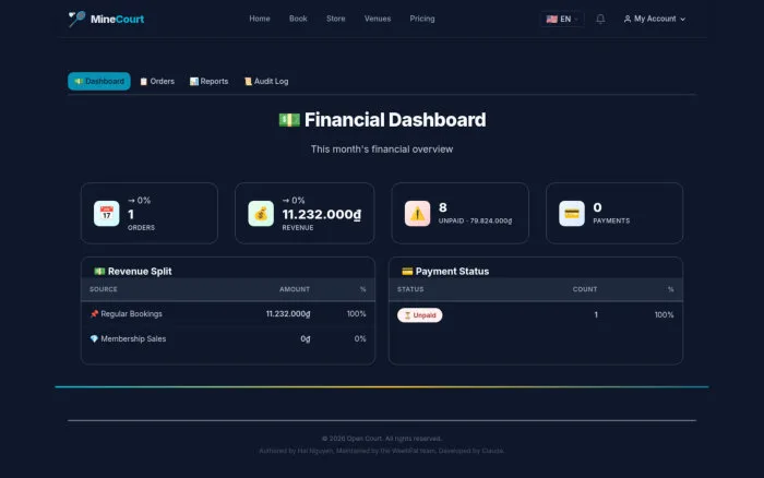 Financial Dashboard | MineCourt