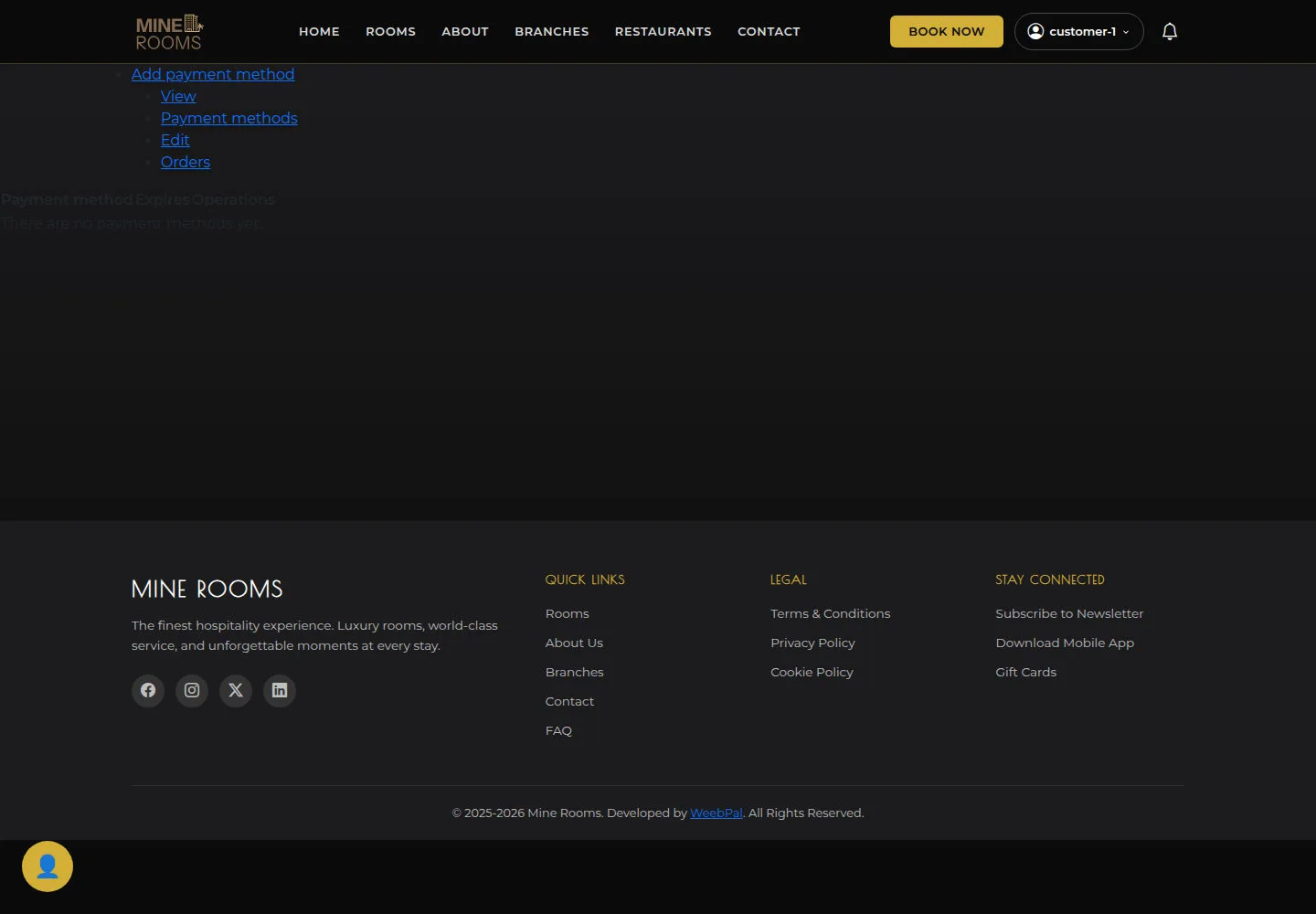 Read account payment methods
