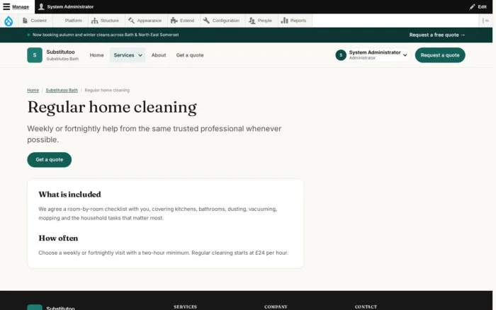 Regular home cleaning